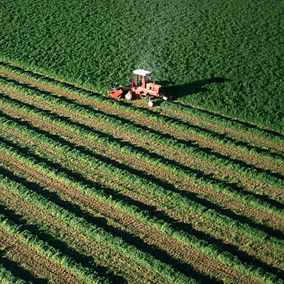 field