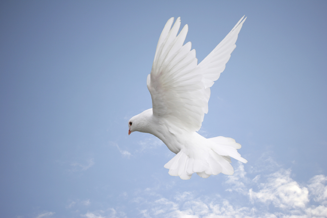 free