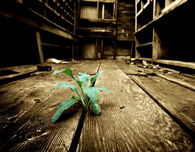 ghost town